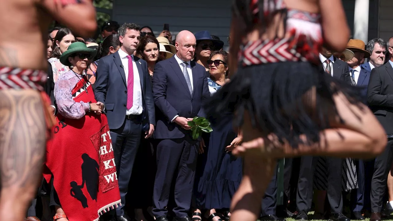 Waitangi Day chaos very familiar to the Aussies who helped defeat the Voice