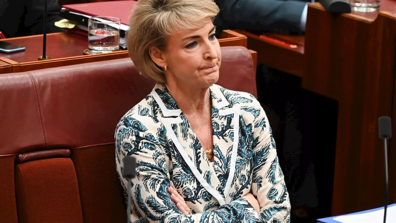 ‘You may not like him’: Michaelia Cash comments on Dutton appeal