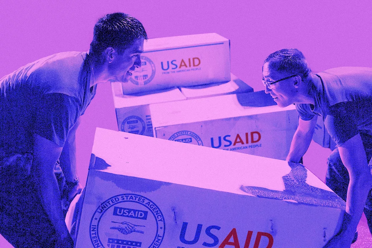 The Catastrophic Impact of USAID's Shutdown: A Story of Lives Lost and Democracy Eroded