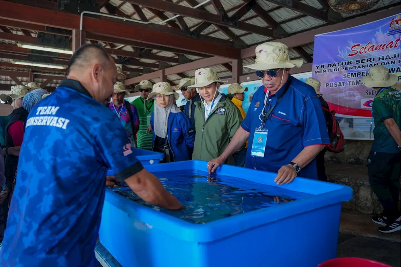 Agriculture Minister Leads Coral Reef Restoration Efforts at Pulau Payar Marine Park