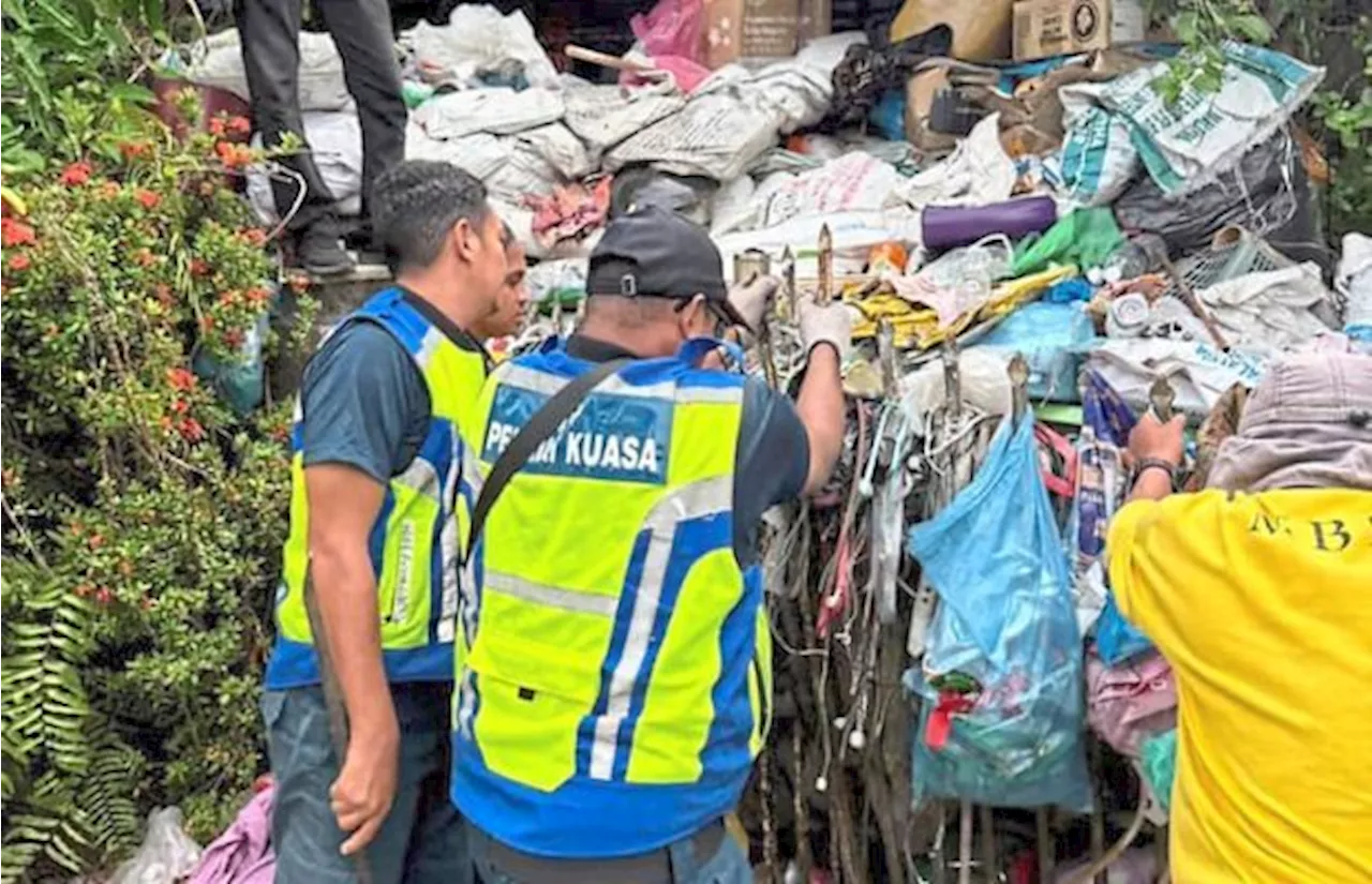 Recycling hoarder in a mountain of trouble