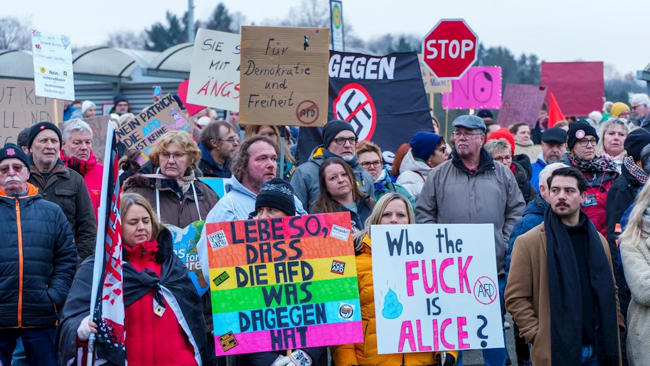 Hunderte demonstrieren gegen AfD und Weidel