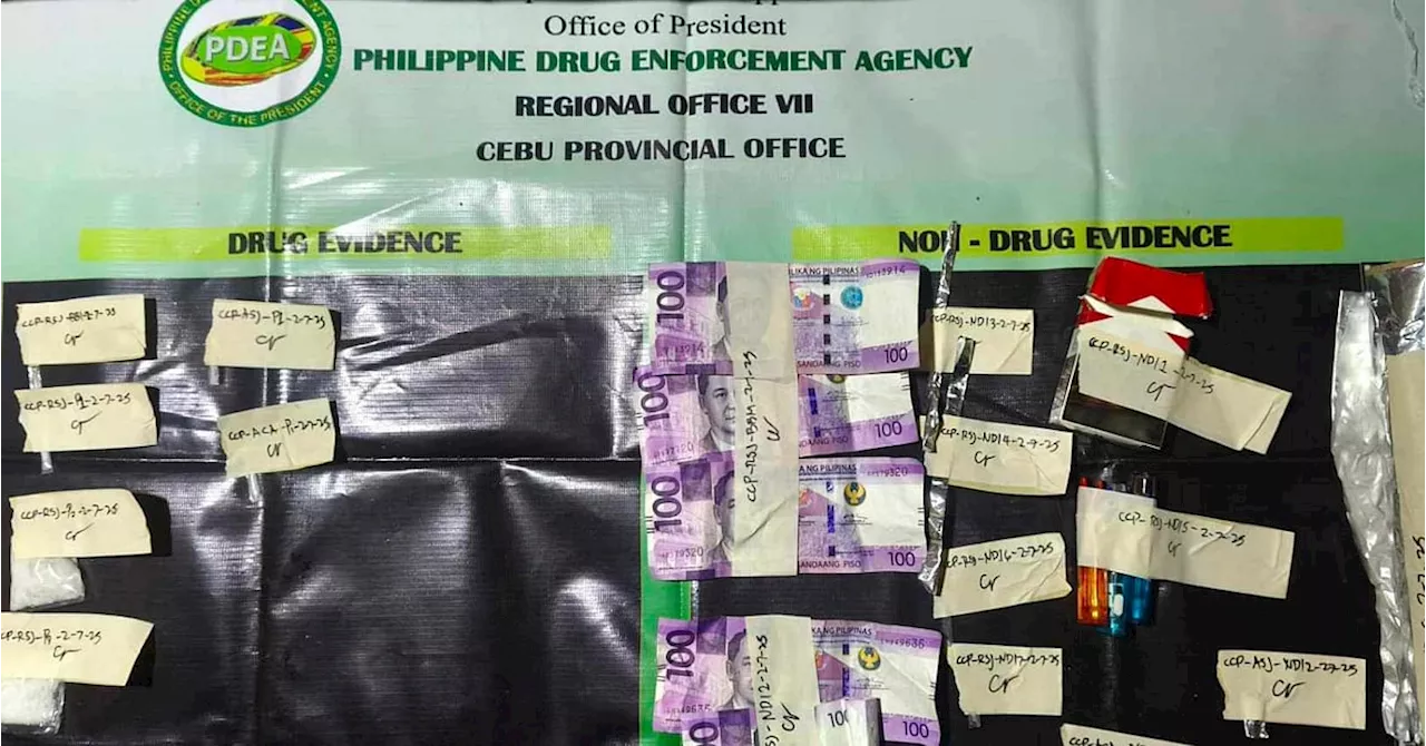 Two Drug Dens Dismantled in Cebu City and Bohol, Six Arrested