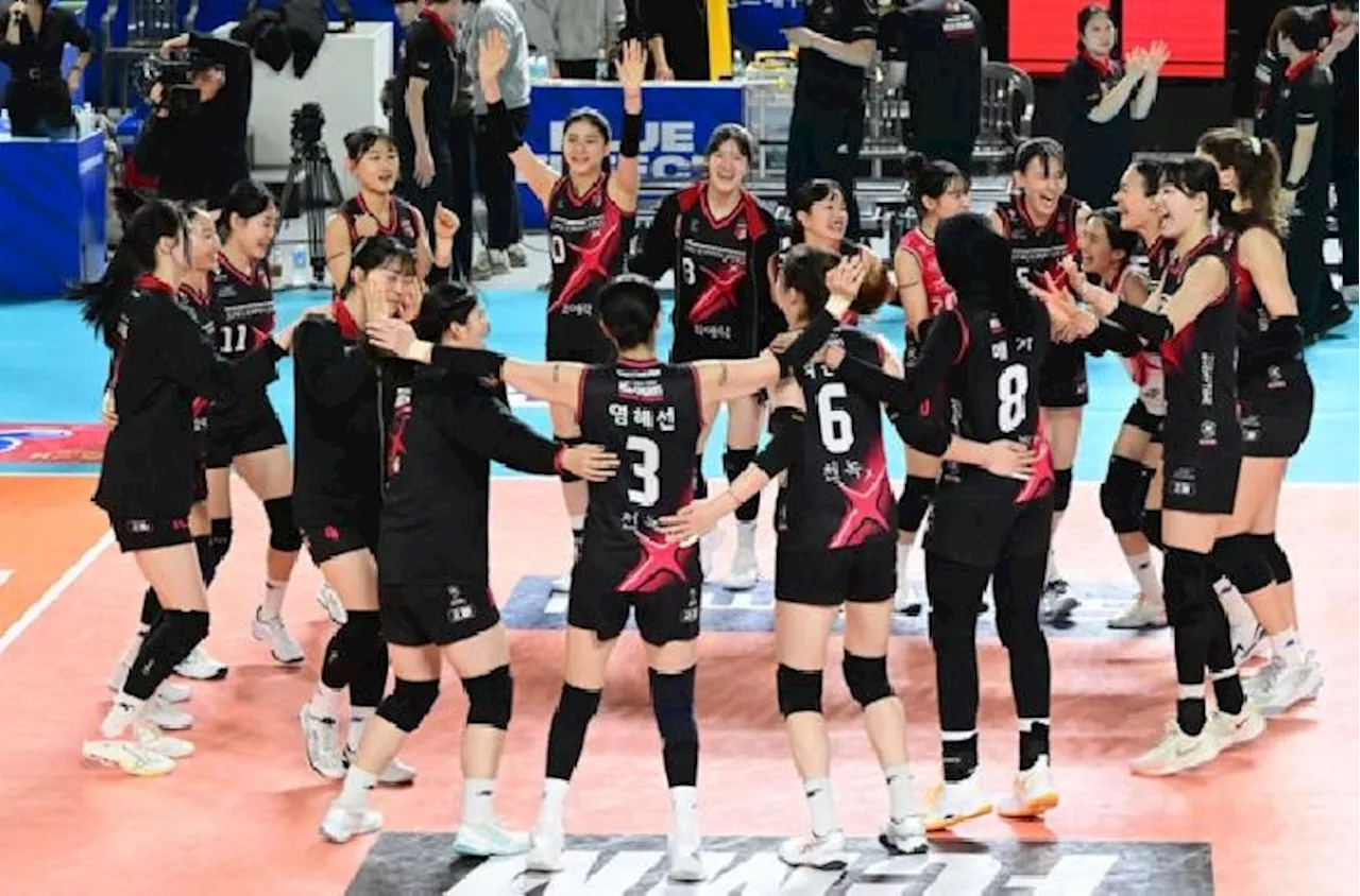 Persaingan Makin Panas di V-League Korea Selatan