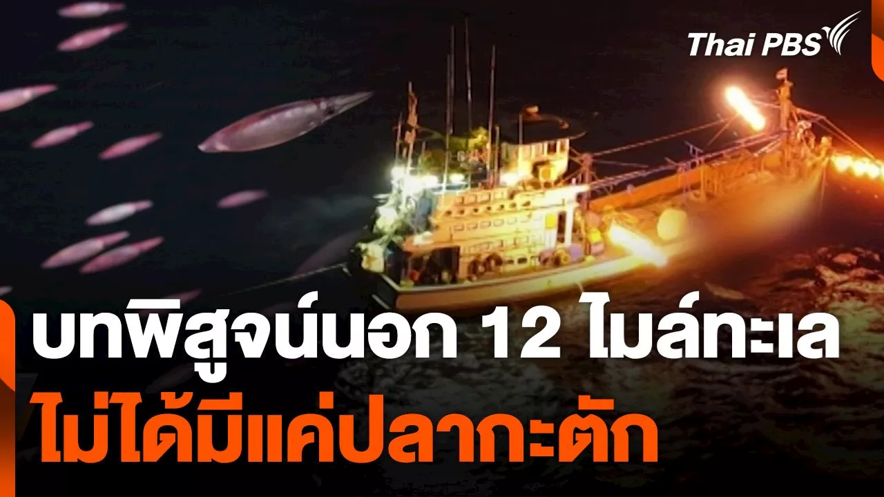  บทพิสูจน์นอก 12 ไมล์ทะเล ไม่ได้มีแค่ปลากะตัก | Thai PBS รายการไทยพีบีเอส