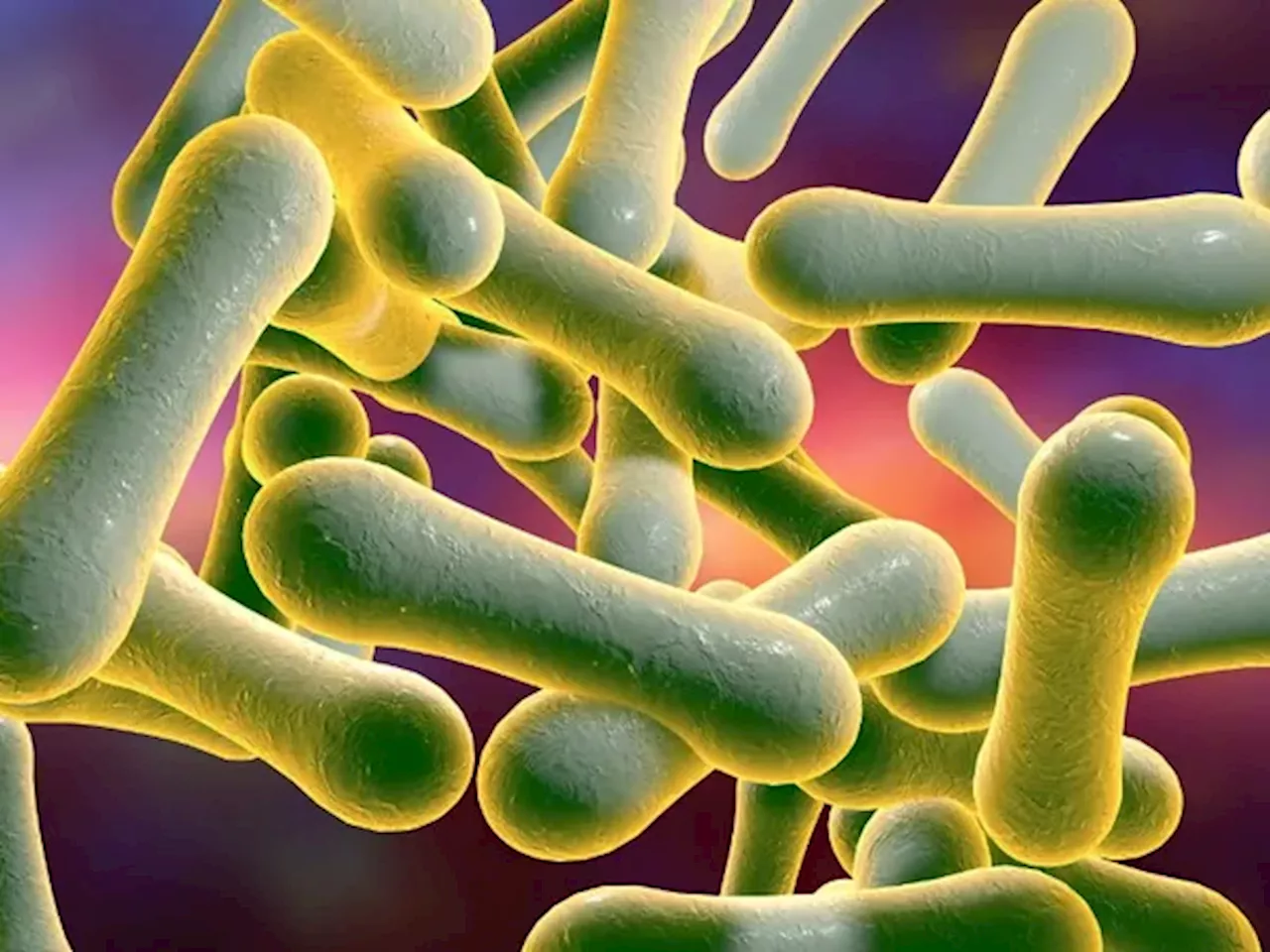 Six More Diphtheria Cases Reported in Nigeria