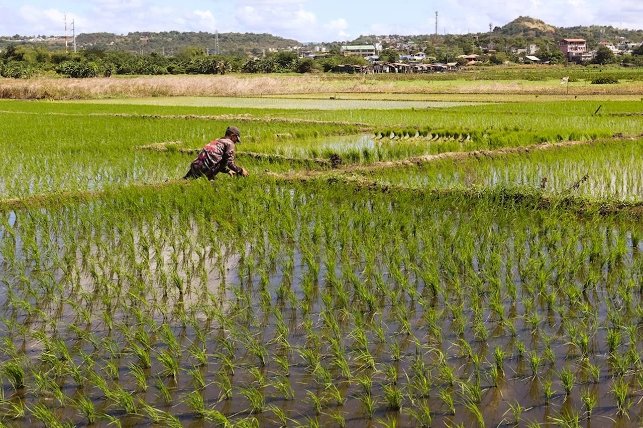 New Engineers Urged to Modernize Philippine Agriculture for Food Security