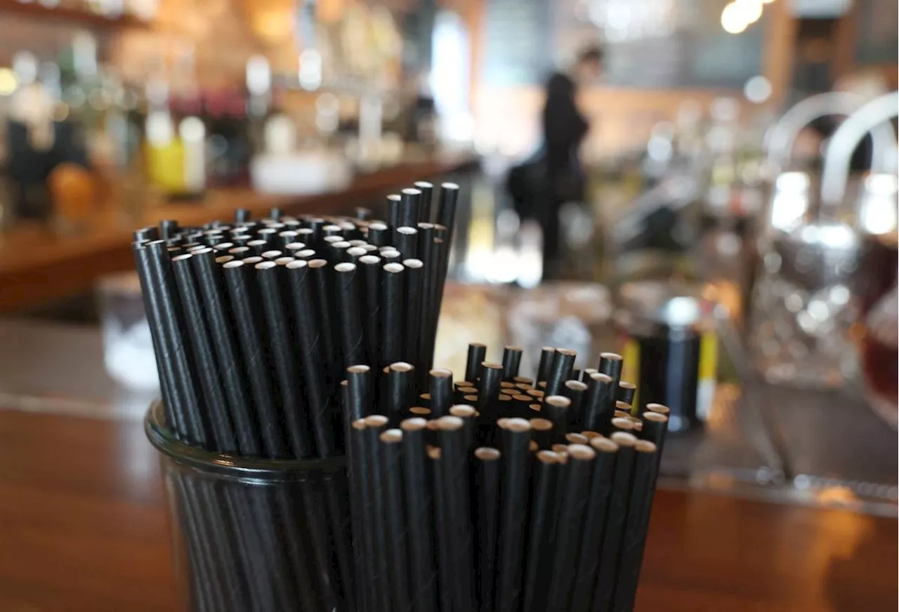 Trump slams paper straws, vows 'back to plastic'