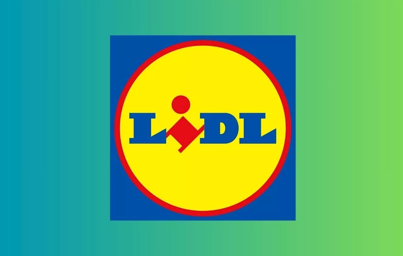 Ajouter des Outils Parkside à Votre Atelier Lidl