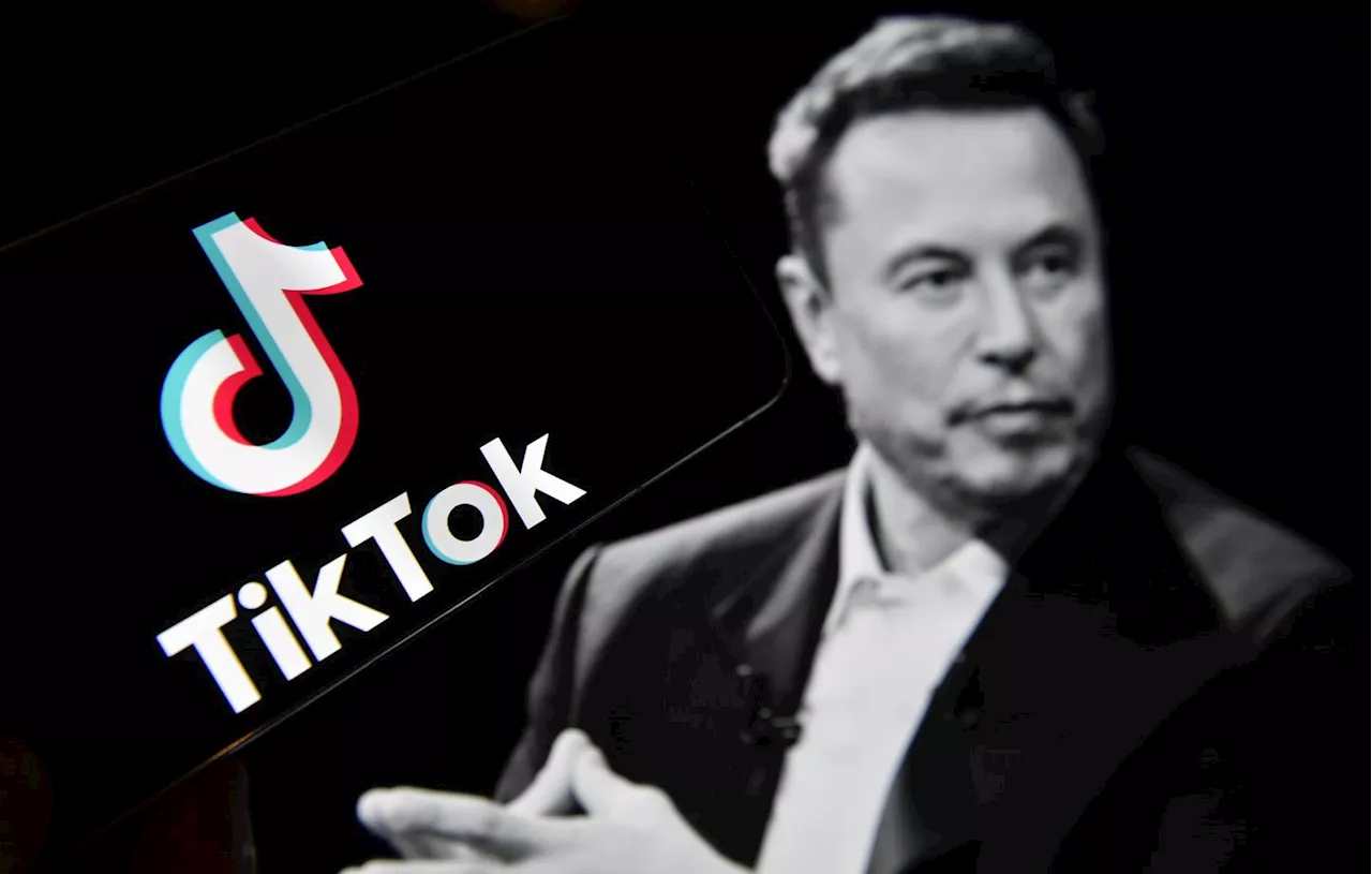 Elon Musk nie toute intention d'acheter TikTok