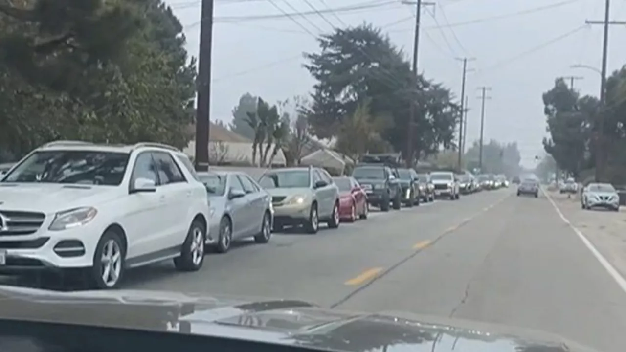 Chino Egg Farm Sees Long Lines as Bird Flu Impacts Supply