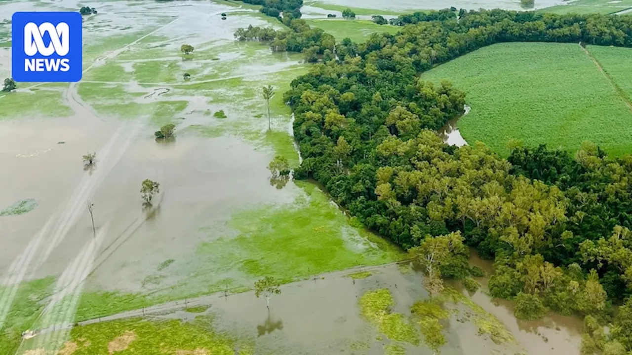 More rain forecast, weather warnings in place for flood-ravaged Queensland