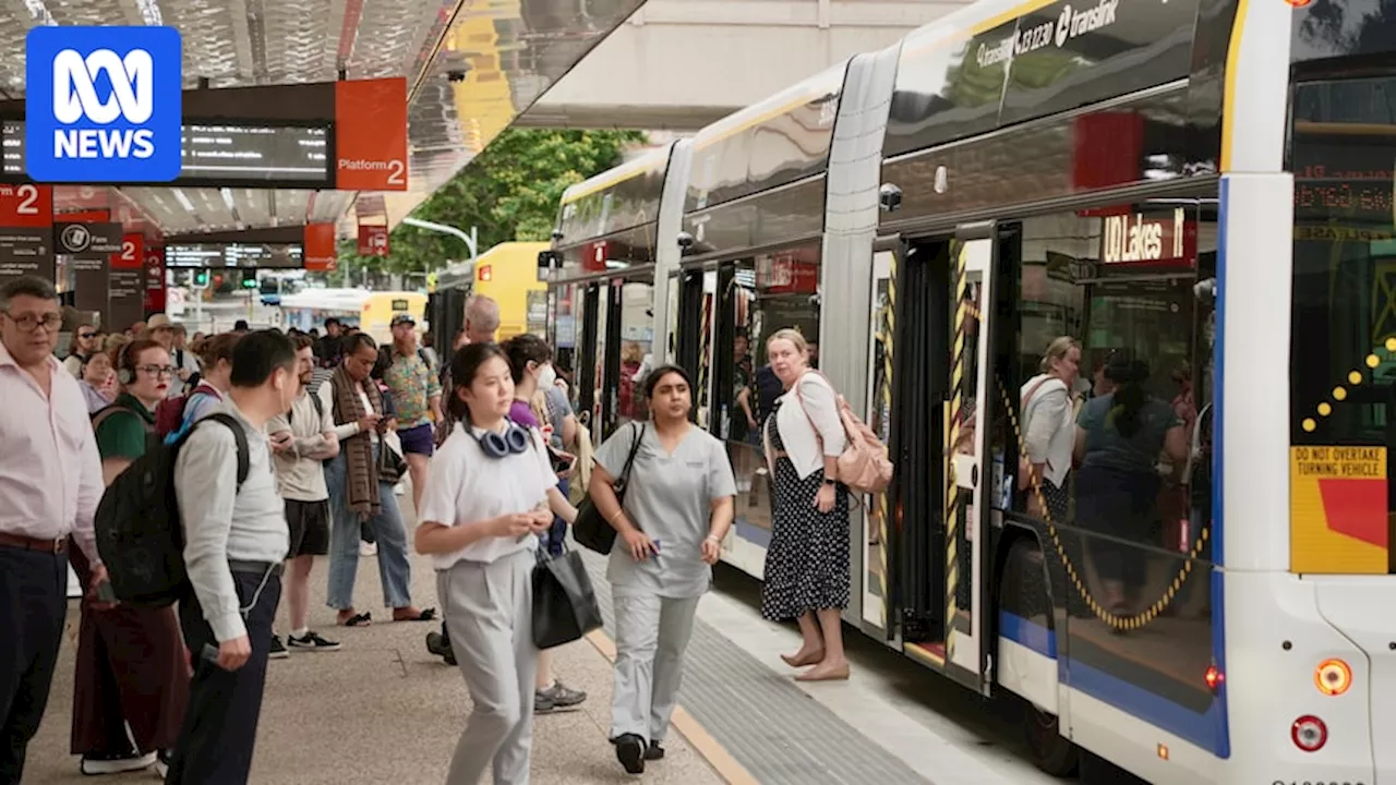 Queensland's 50c public transport fares hit six-month mark, with patronage up nearly 20pc