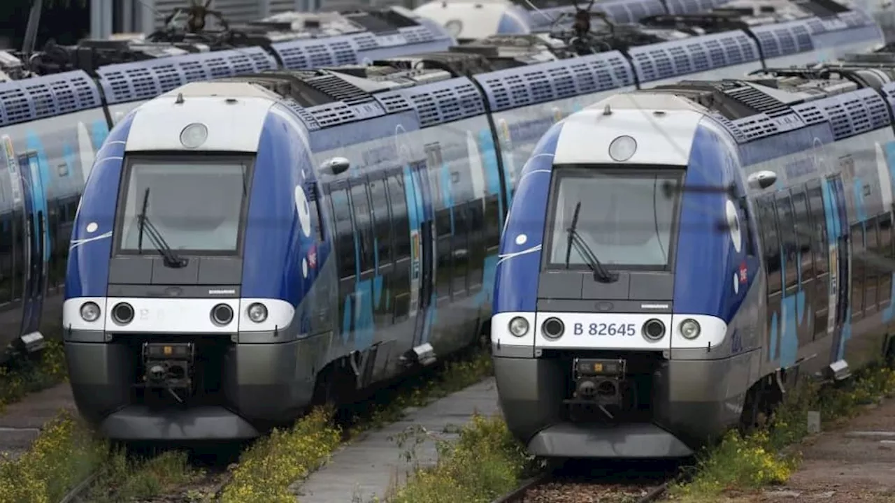 Une Cagnotte pour Aider Selma après un Accident de Train