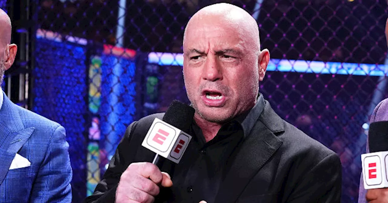 Joe Rogan Slams USAID, Backs Trump's 'Business Approach' to Government