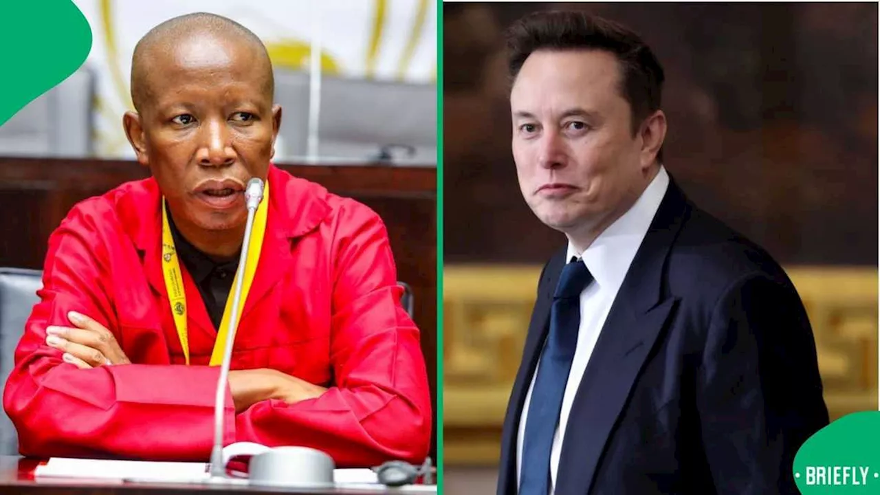 Malema Slams Musk After Being Called an International Criminal