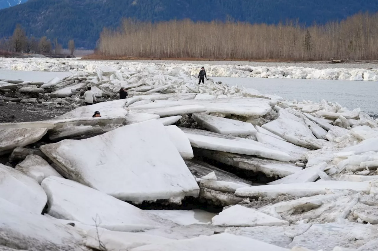 Arctic Outflow Warning Issued for Parts of British Columbia