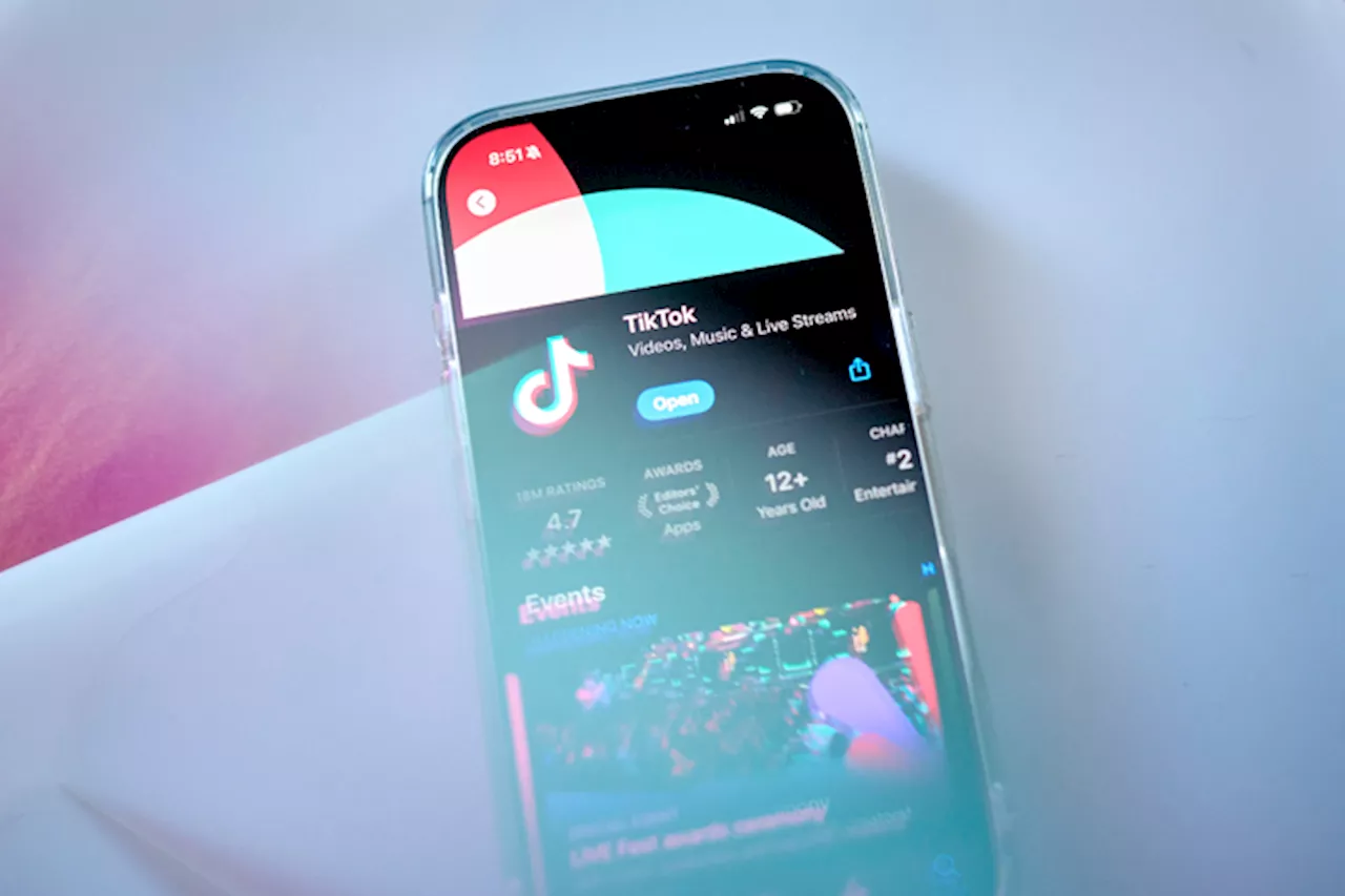 Elon Musk Says He Has No Interest in Buying TikTok