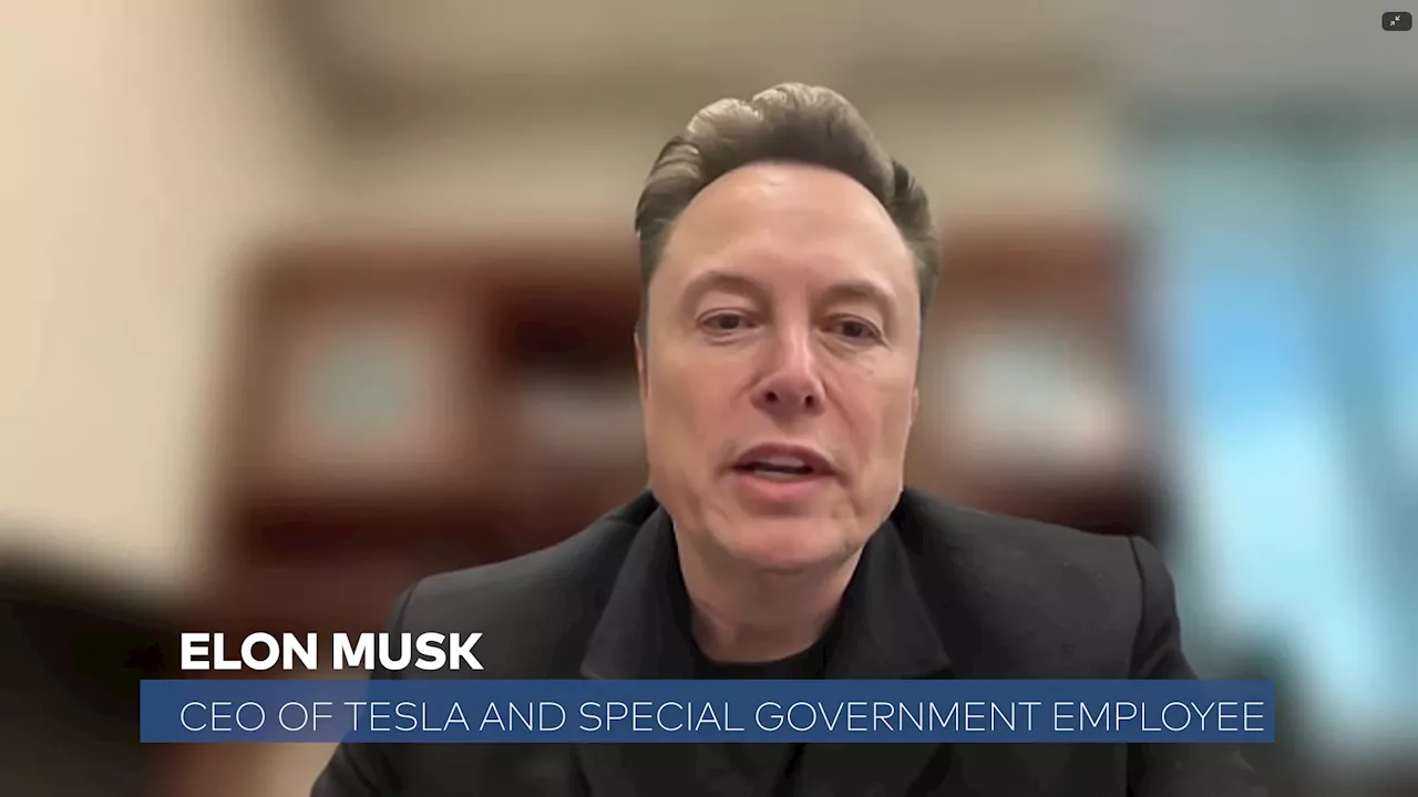 Elon Musk Écarte Tout Rachat de TikTok