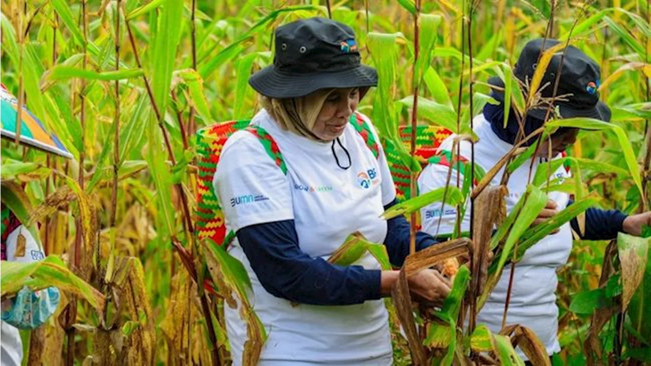 BRI Menanam: Menanam Durian dan Memberdayakan Masyarakat di Kalimantan Timur