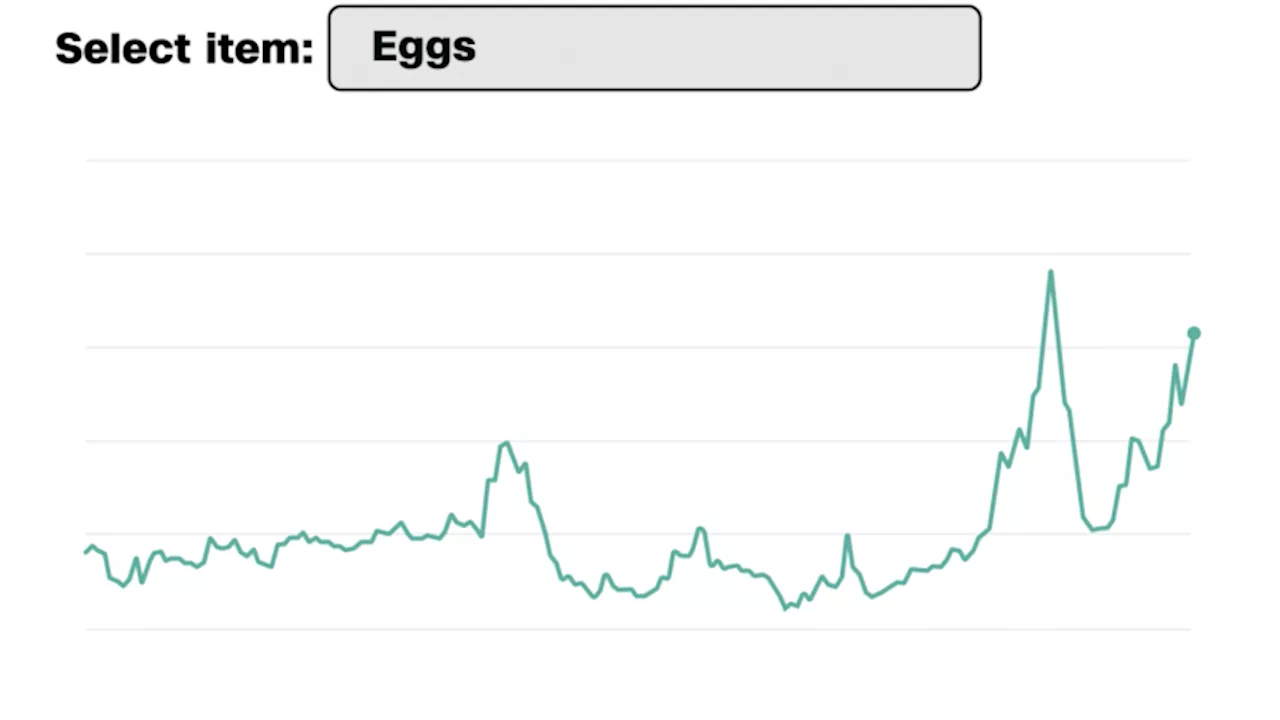 Rising Food Costs: Eggs Face a 20% Spike Amid Tariff Fears