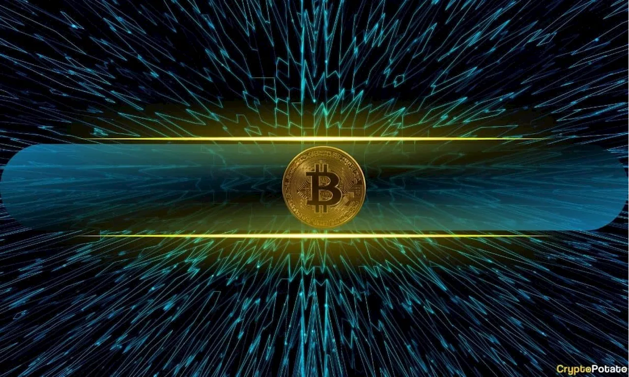 Bitcoin Network Activity Plunges to Lowest Level in a Year