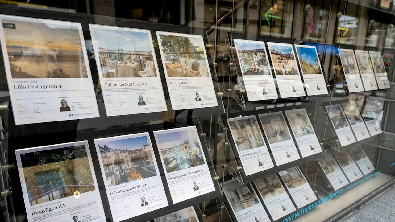 Hälften tror på stigande bostadspriser