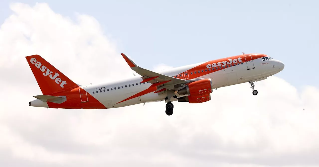 EasyJet flight makes emergency landing after pilot 'collapsed'