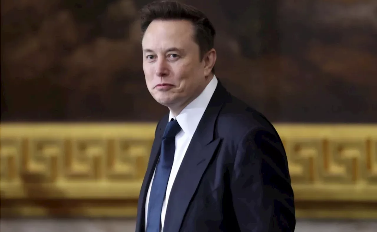 Trump revela nueva “tarea” de Elon Musk; ayudará a descubrir fraudes multimillonarios contra el gobierno