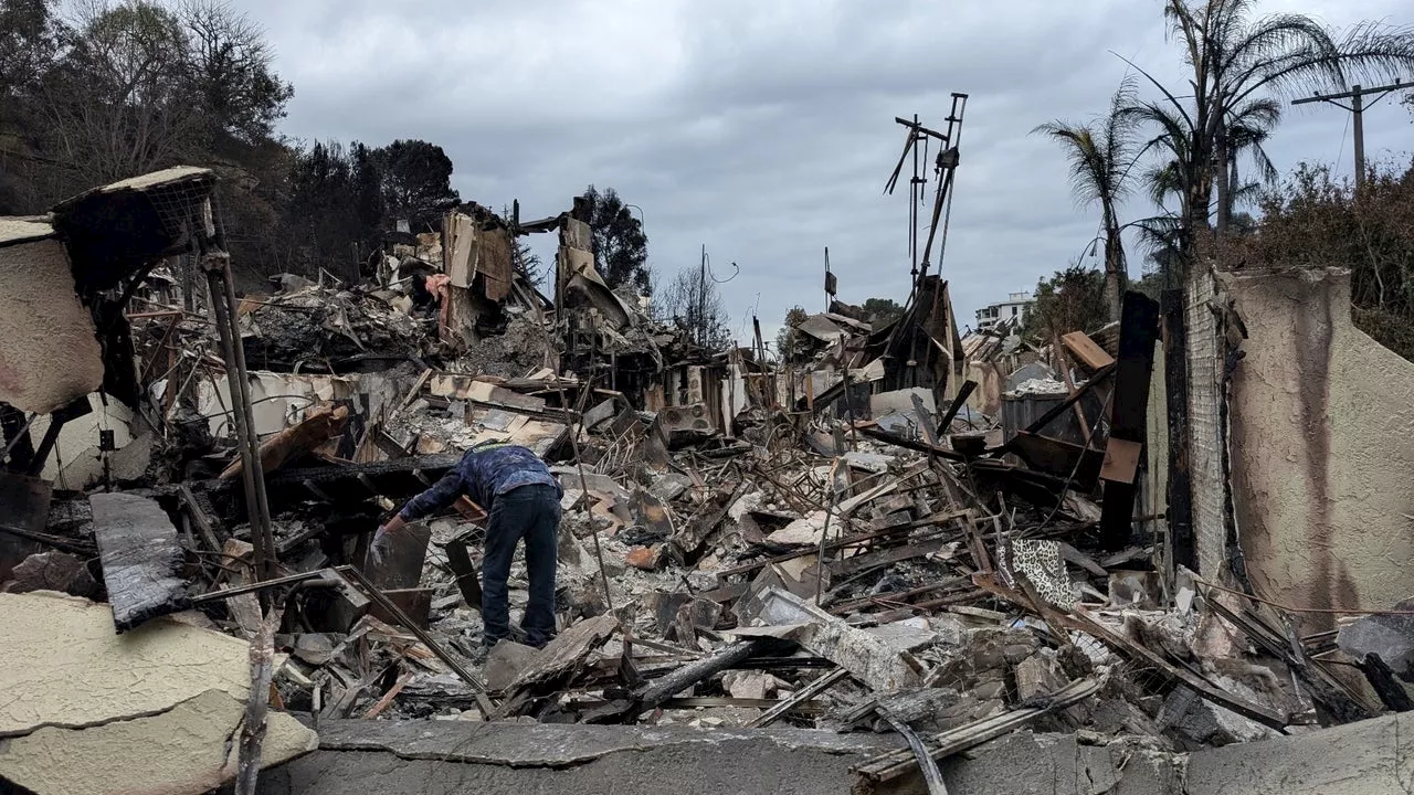 Miracle Buddha Amidst Palisades Fire Devastation