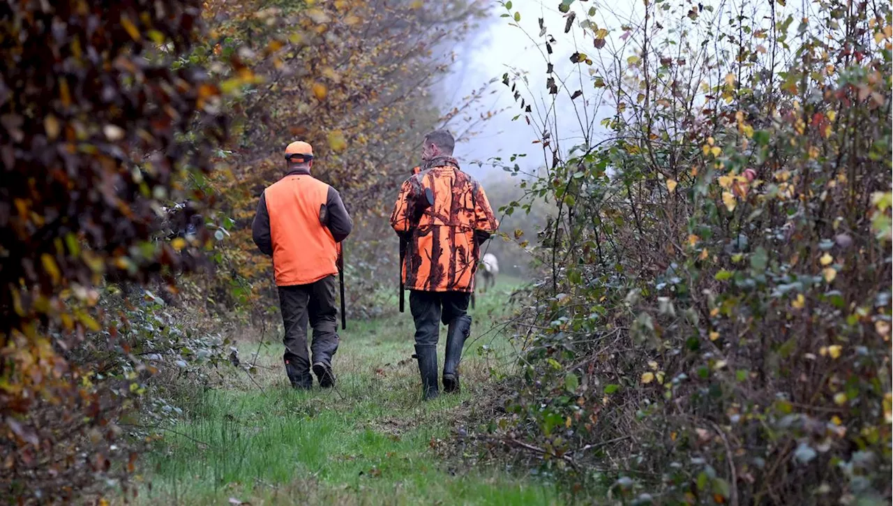 Plus de 80% des Français Sont Favorables à l'Interdiction de la Chasse Pendant les Vacances Scolaires