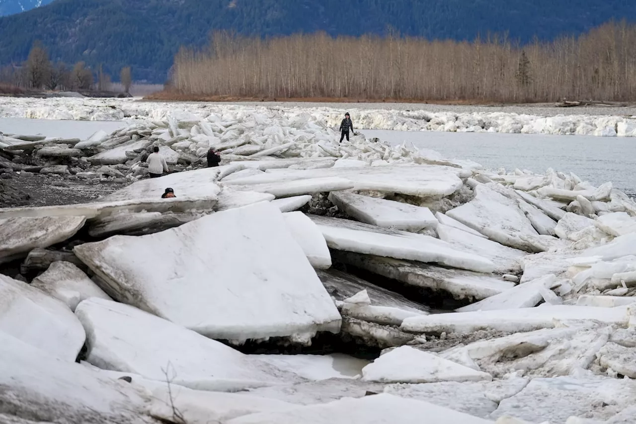 Arctic Outflow Warning Issued for Parts of British Columbia