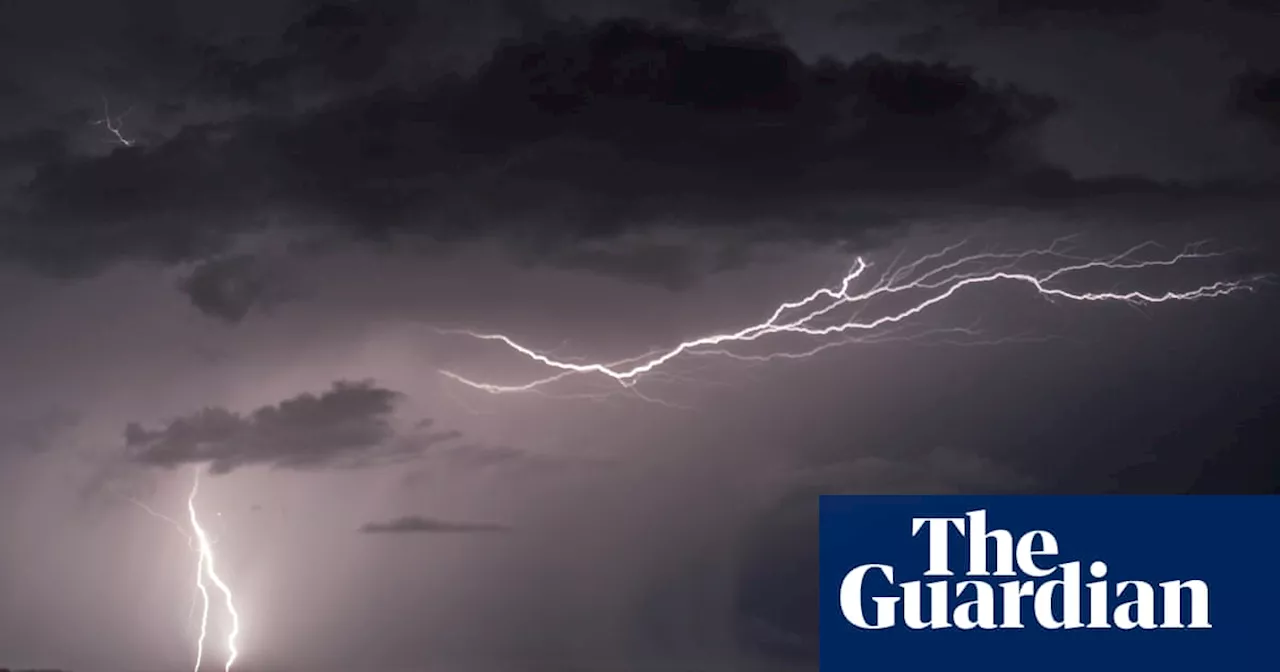 Woman Killed by Lightning-Struck Tree Debris in New South Wales