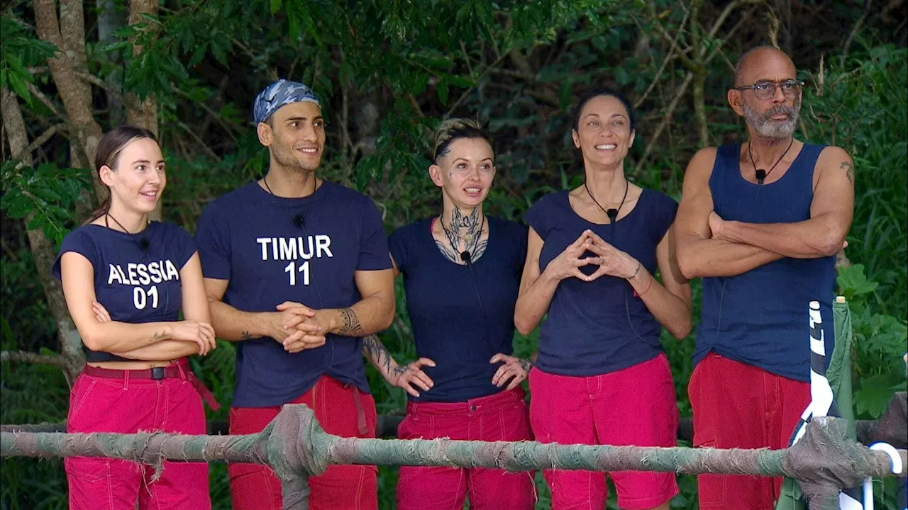 Zwei Stars mussten gehen - Fix! Diese Kandidaten stehen im Dschungelcamp-Finale