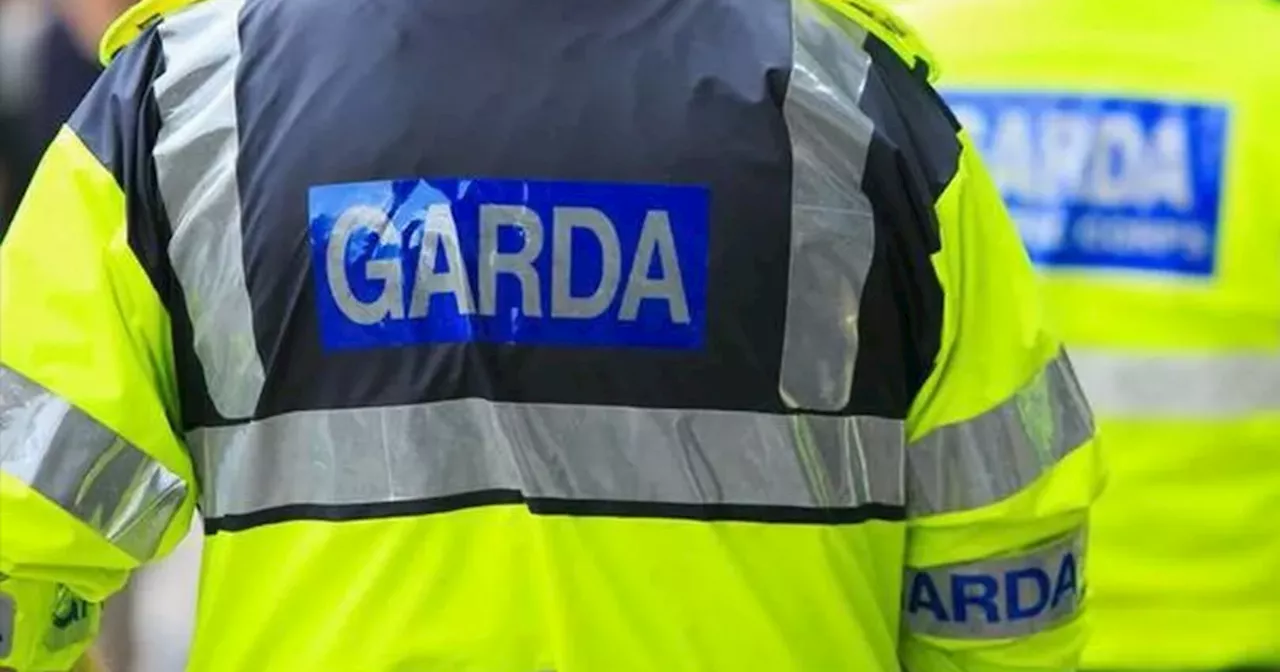 Armed Robber Apprehended After Standoff with Gardaí in Dublin
