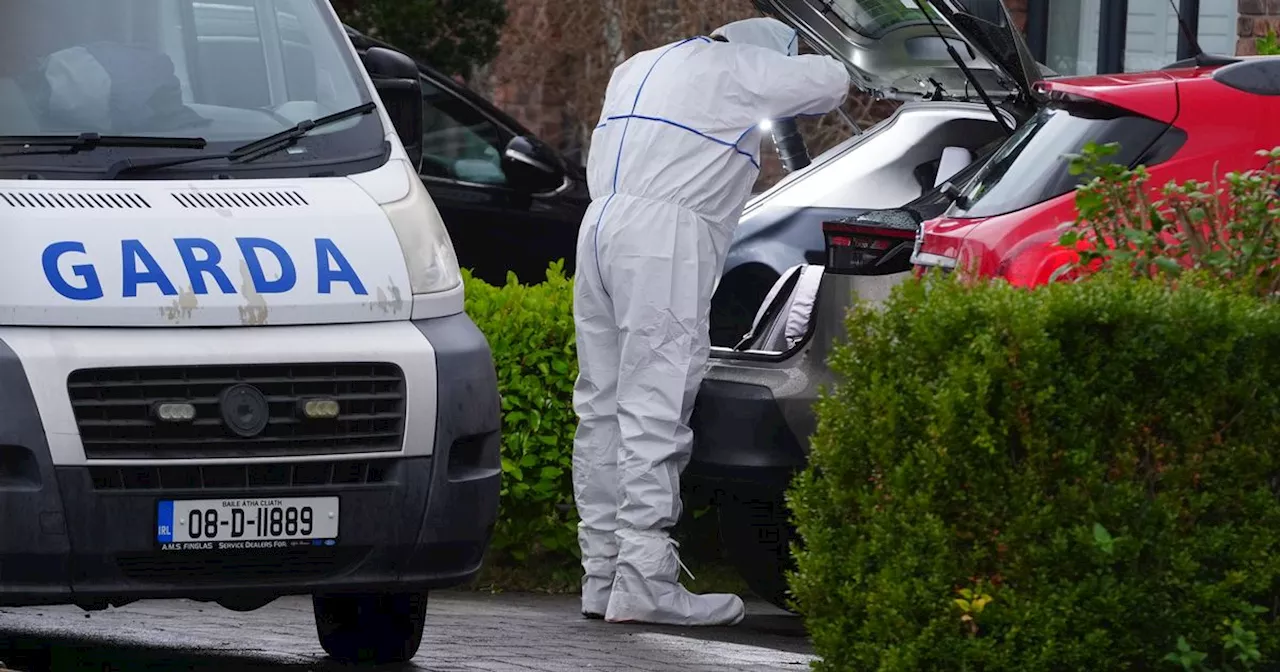 Swiss Man Stabbed to Death in Dublin Hours After Arriving in Ireland