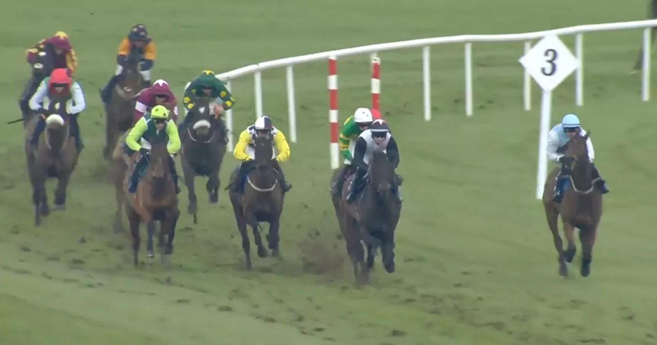 Willie Mullins horse pulled up after jumping wrong obstacle in bizarre incident