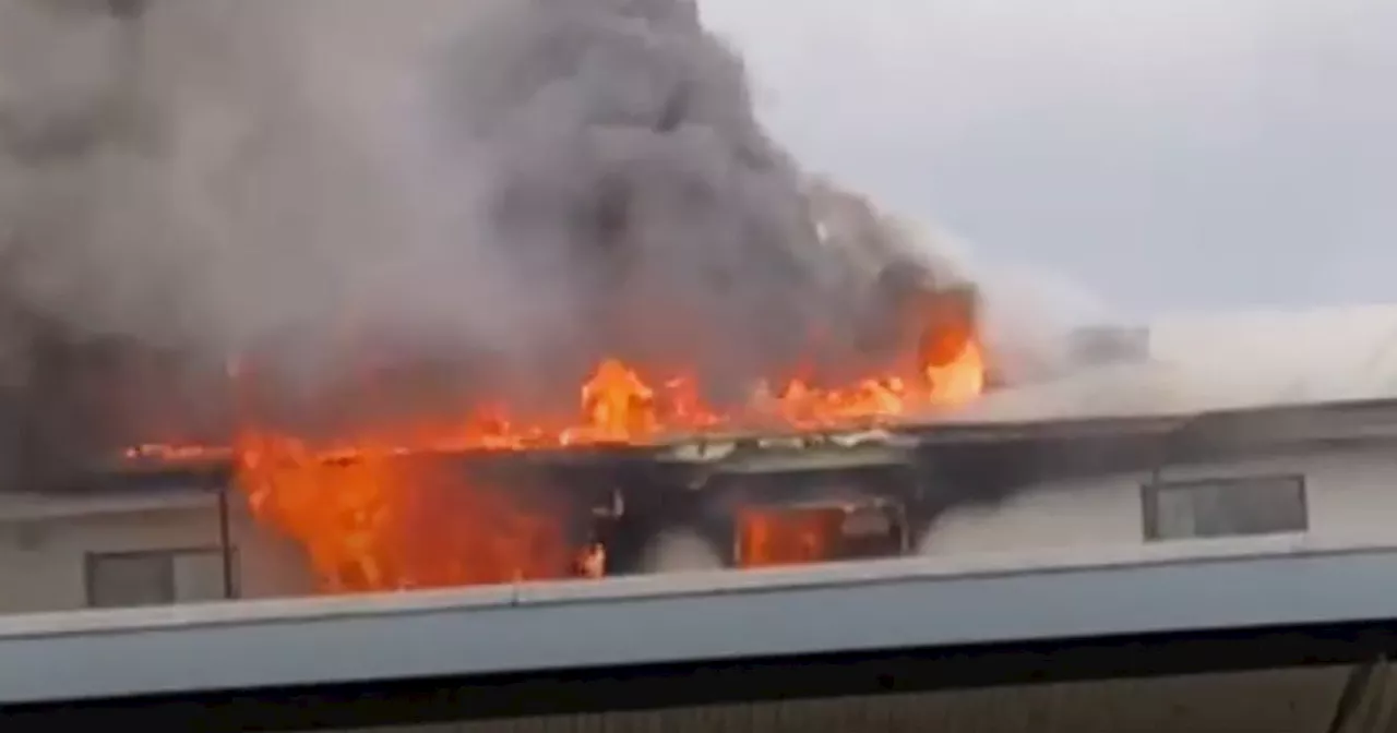 Four escape burning apartment destroyed by fire in Limerick city