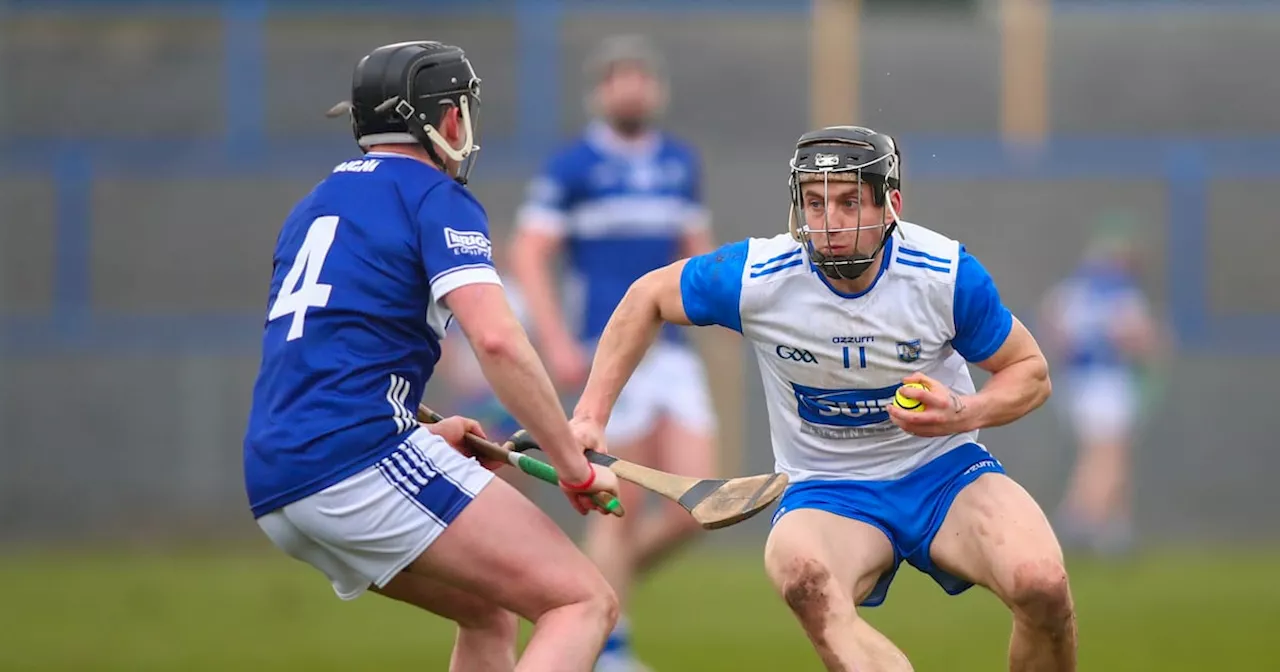 Waterford Overpower Laois, Dublin Hold Off Westmeath in Division 1B