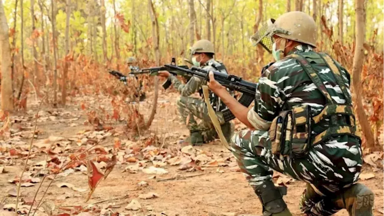 छत्तीसगढ़-महाराष्ट्र सीमा पर नक्सलियों से मुठभेड़, 12 नक्सली मारे गए