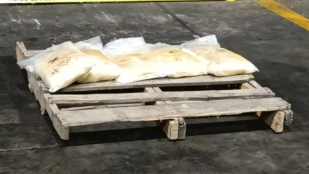 Incautan más de 546 kilos de metanfetamina y fentanilo en 3 días en la frontera con EU