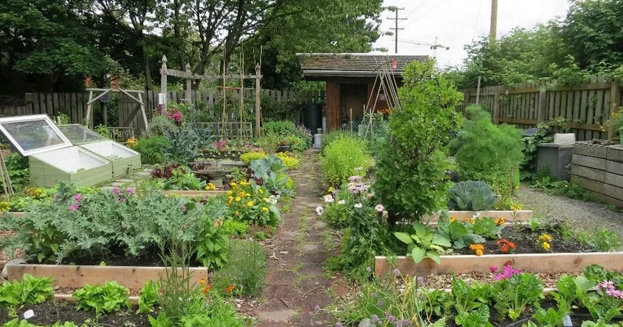 UK gardeners growing fruit and veg in February urged to act