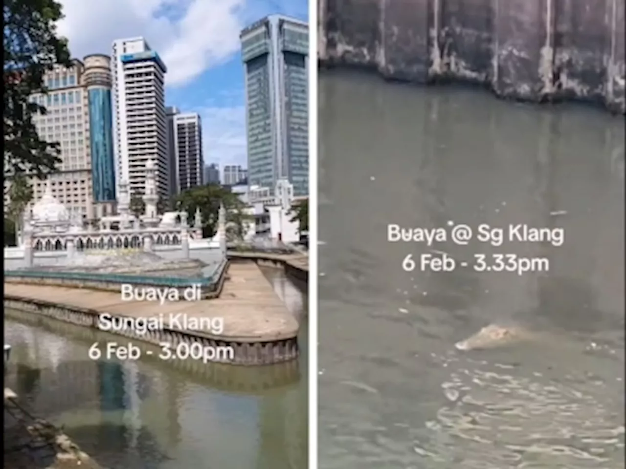 Crocodile Sighting Near Masjid Jamek Prompts Warning Signs