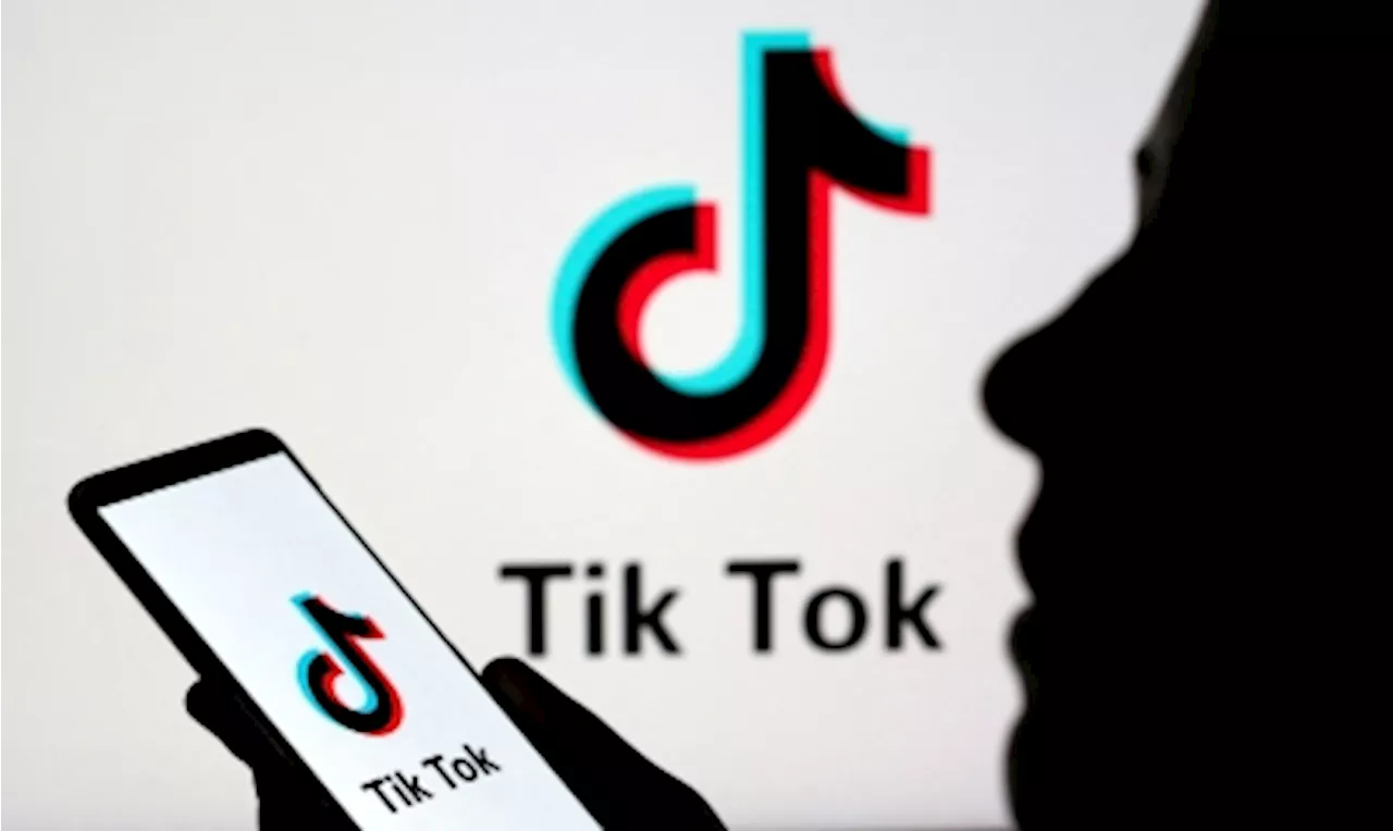 Elon Musk says ‘not chomping at the bit’ to acquire TikTok’s US operations