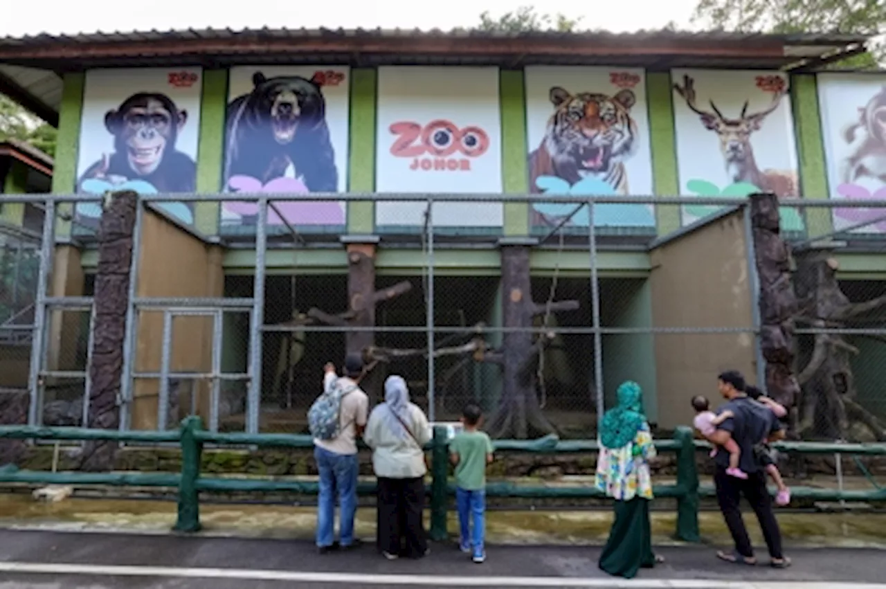 Johor Zoo Night Safari to Open by Year's End