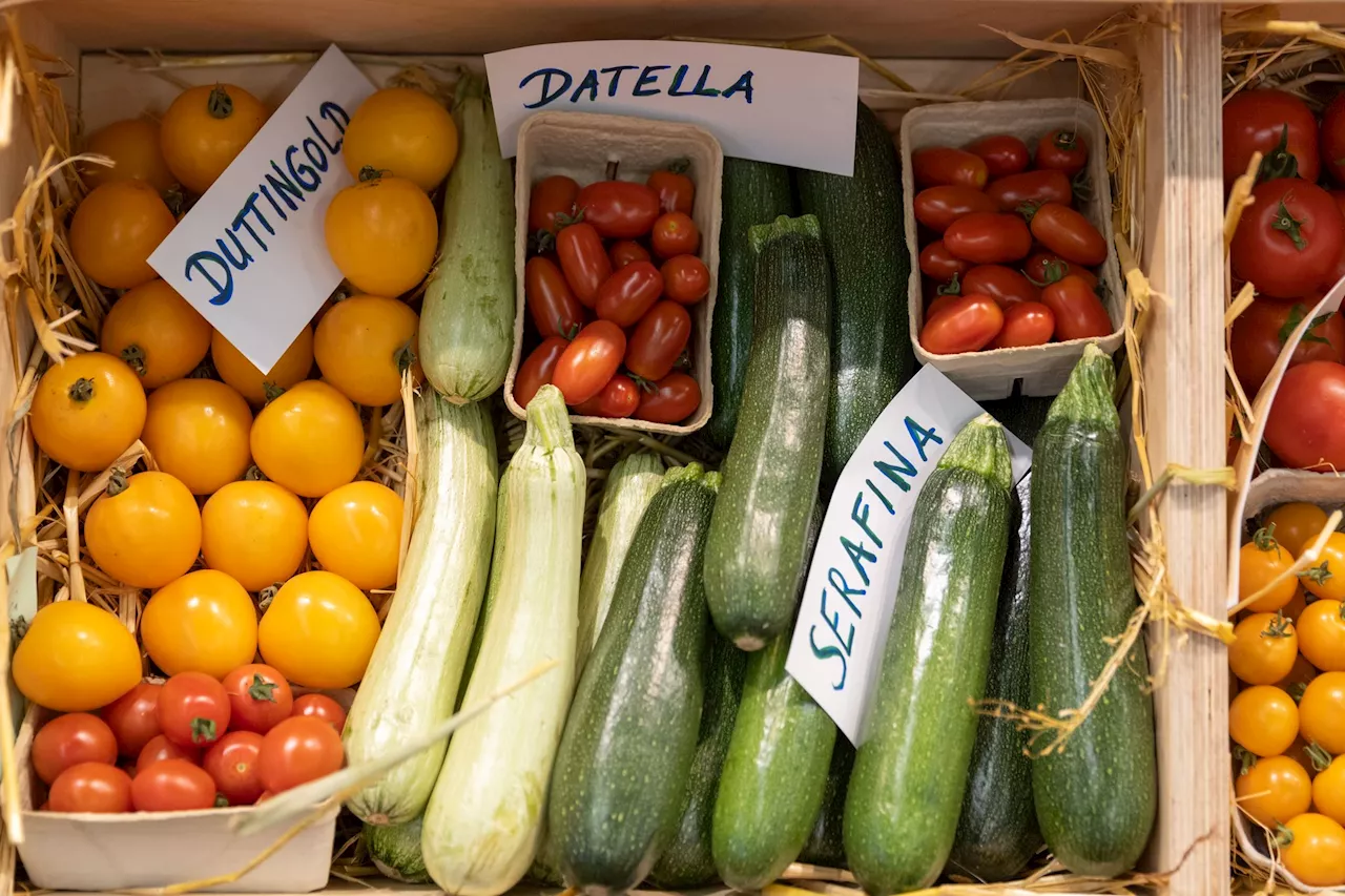 Bio-Bedarf in Deutschland steigt schneller als Angebot