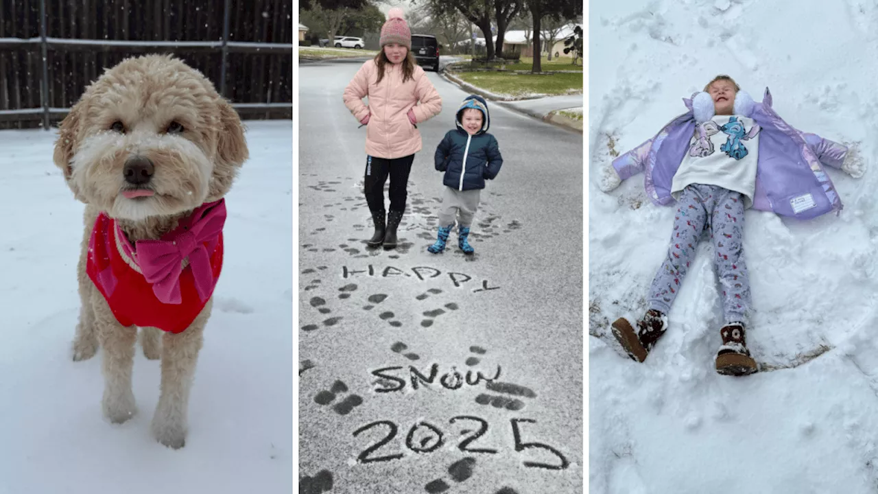 North Texas Snow Day Brings Joy to Kids, Pets, and Community