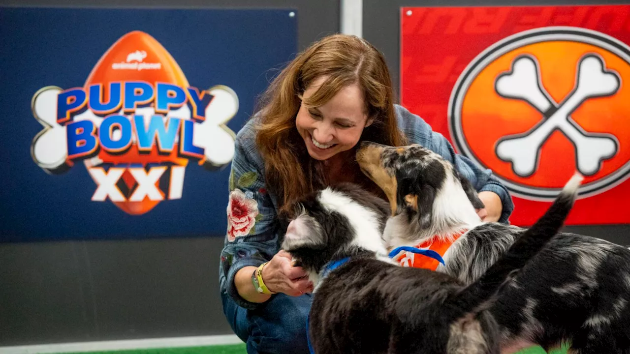 The Unsung Hero of the Puppy Bowl: Meet Victoria Schade, the Dog Trainer Who Makes the Magic Happen