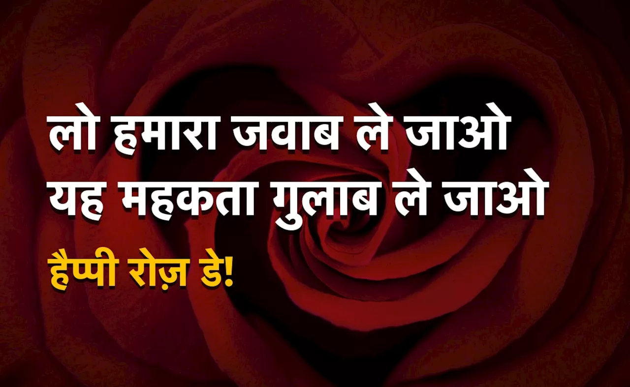 Rose Day Wishes: &quot;लो हमारा जवाब ले जाओ, यह महकता गुलाब ले जाओ,&quot; रोज़ डे की इन विशेज को पढ़कर खिल उठेगा चेहरा