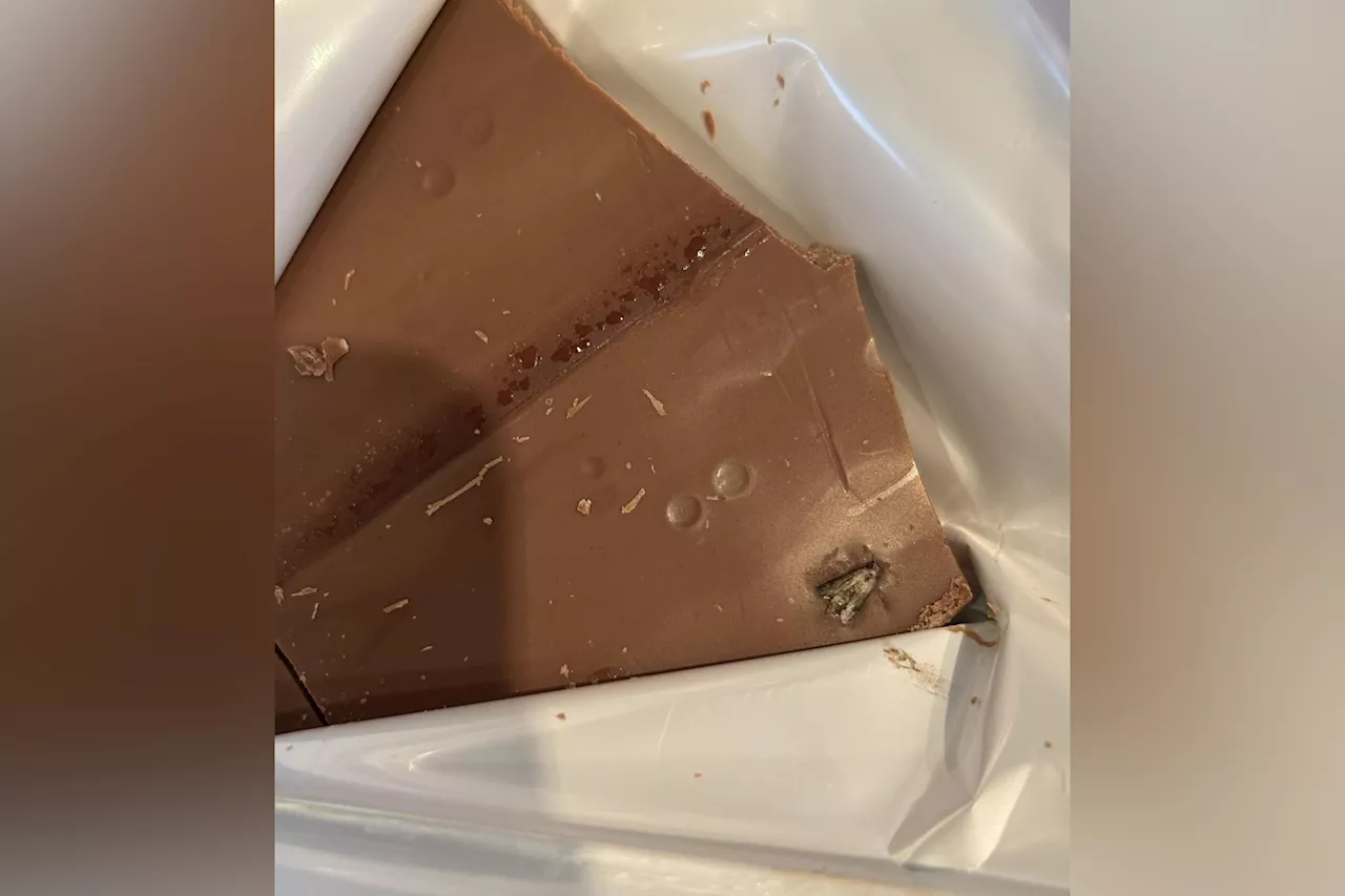 Woman Starts Making Cake, Horrified by What She Finds in Chocolate Bar